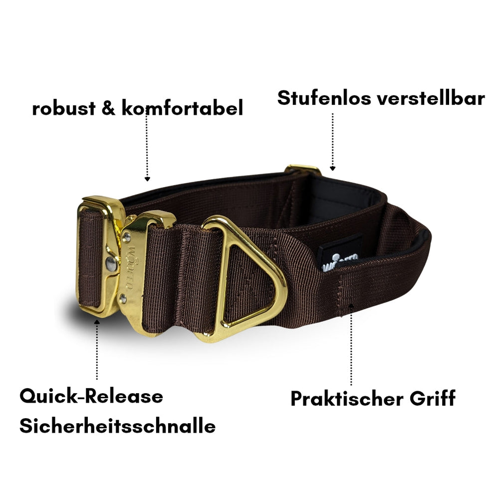 Robustes Nylon-Halsband für kleine Hunde mit stufenlos verstellbarem Aluverschluss und Quick-Release-Sicherheitsschnalle.