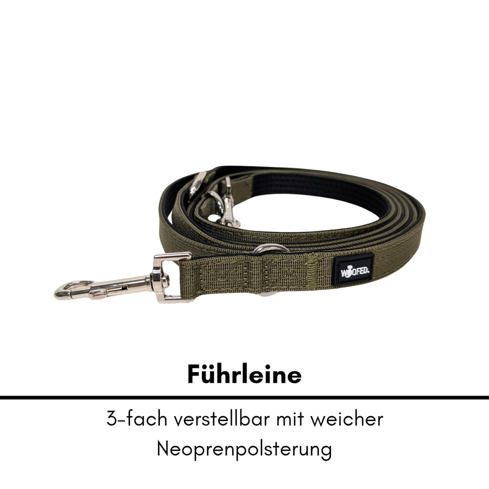 Verstellbare olivgrüne Nylon Classic Führleine mit weicher Neoprenpolsterung für optimalen Komfort und Halt.
