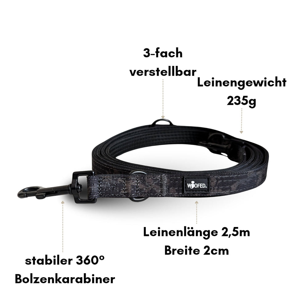 Nylon Classic Führleine, 2,5 m lang, 2 cm breit, leicht, mit stabilem 360° Bolzenkarabiner für Hundesicherheit.