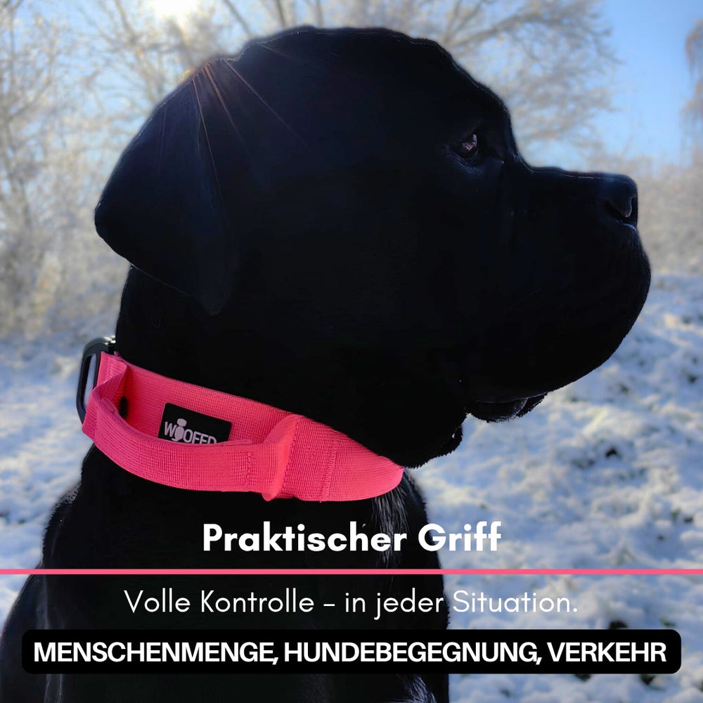 Ultraleichtes Nylon Halsband mit Griff für Hunde, pink, vor winterlicher Landschaft mit schneebedeckten Bäumen.