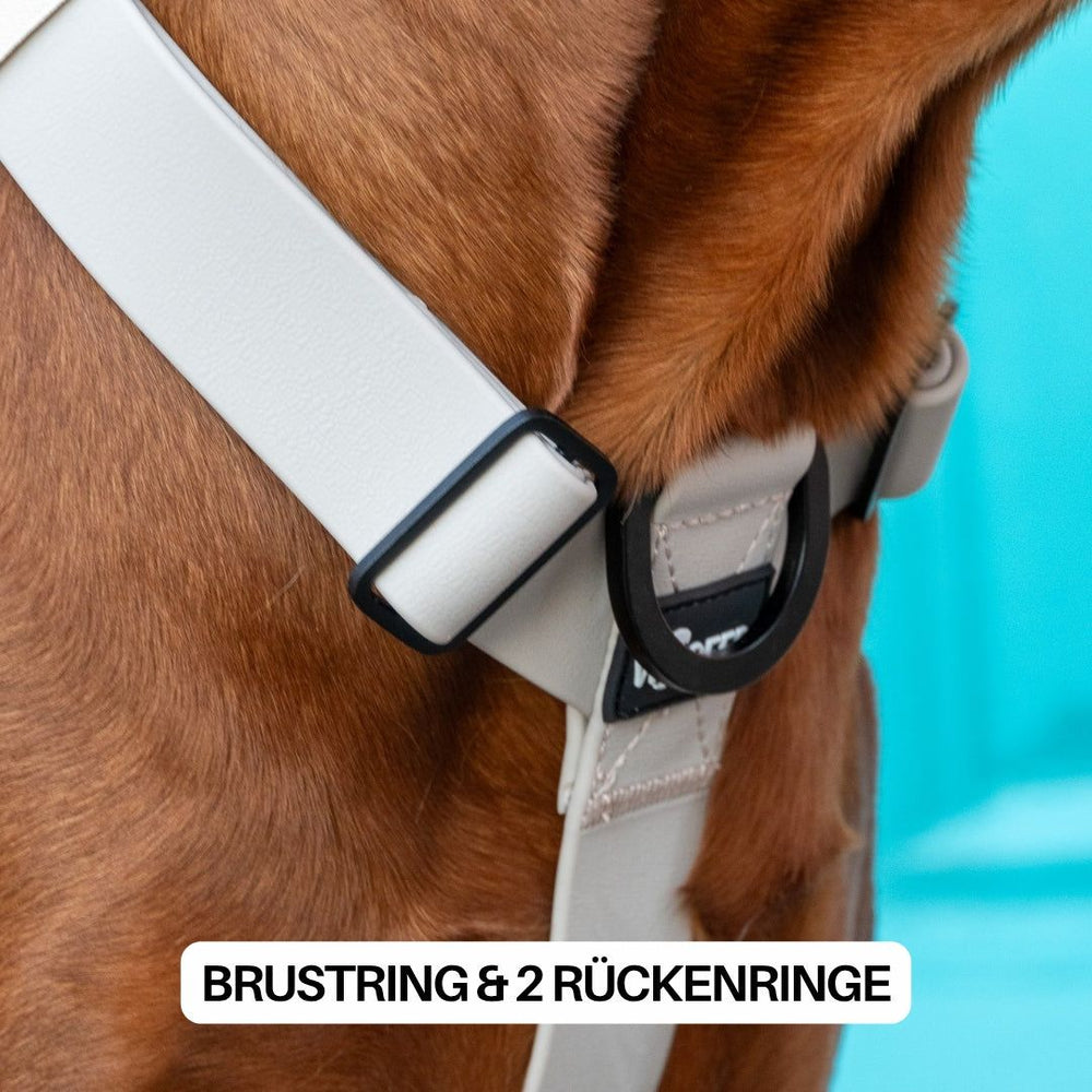 "Y-Hundegeschirr WOOFLEX® in heller Farbe, sicher am Hund befestigt mit Griff, Brustring und zwei Rückenringen."