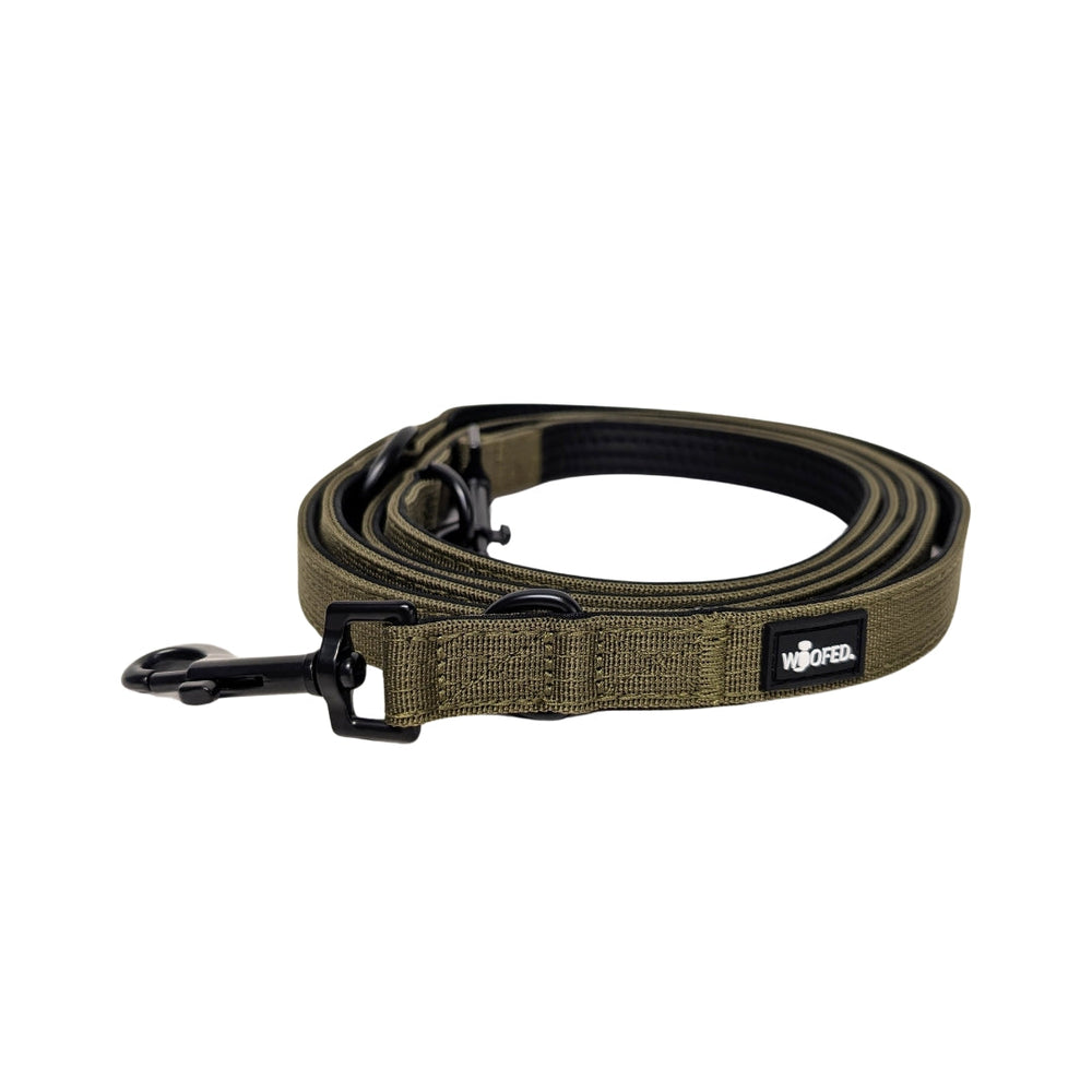 Nylon Führleine Classic in grün mit stabilen Karabinerhaken, geflochtenem Design und Neoprenpolsterung für Hunde.