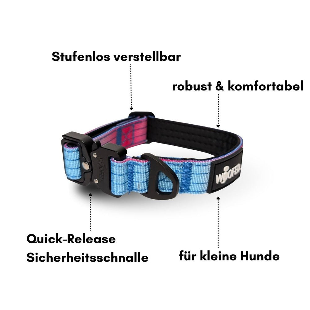 Verstellbares Nylon-Halsband in Blau- und Lilatönen für kleine Hunde, ultraleicht und mit Quick-Release Schnalle.