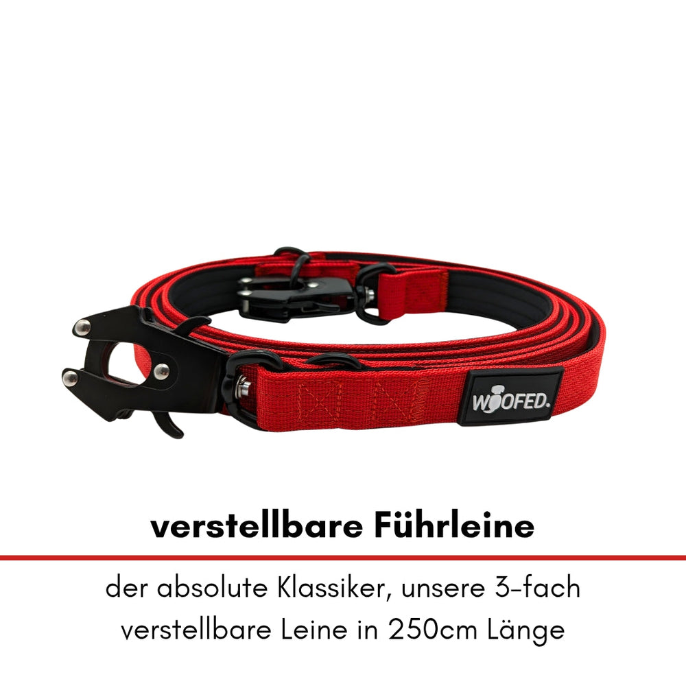 Verstellbare rote Hundeleine von WOOFED mit robustem Froschkarabiner, 250 cm lang und dreifach einstellbar.
