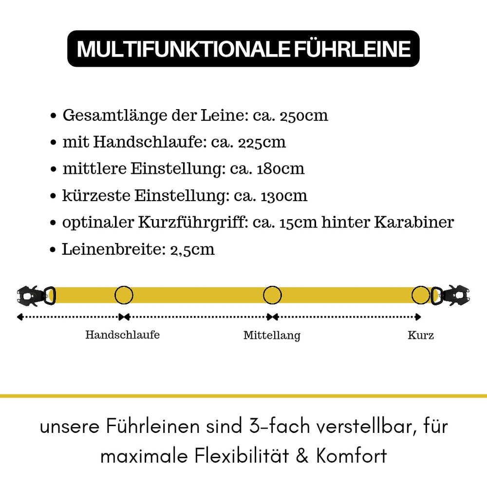 Multifunktionale Hundeleine aus Nylon mit Froschkarabiner und verschiedenen Einstellmöglichkeiten bis 250 cm.