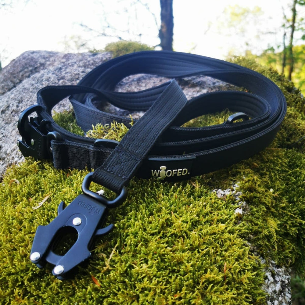 Schwarze Hundeleine aus Nylon mit gepolstertem Griff und robustem Froschkarabiner auf moosbedecktem Stein.