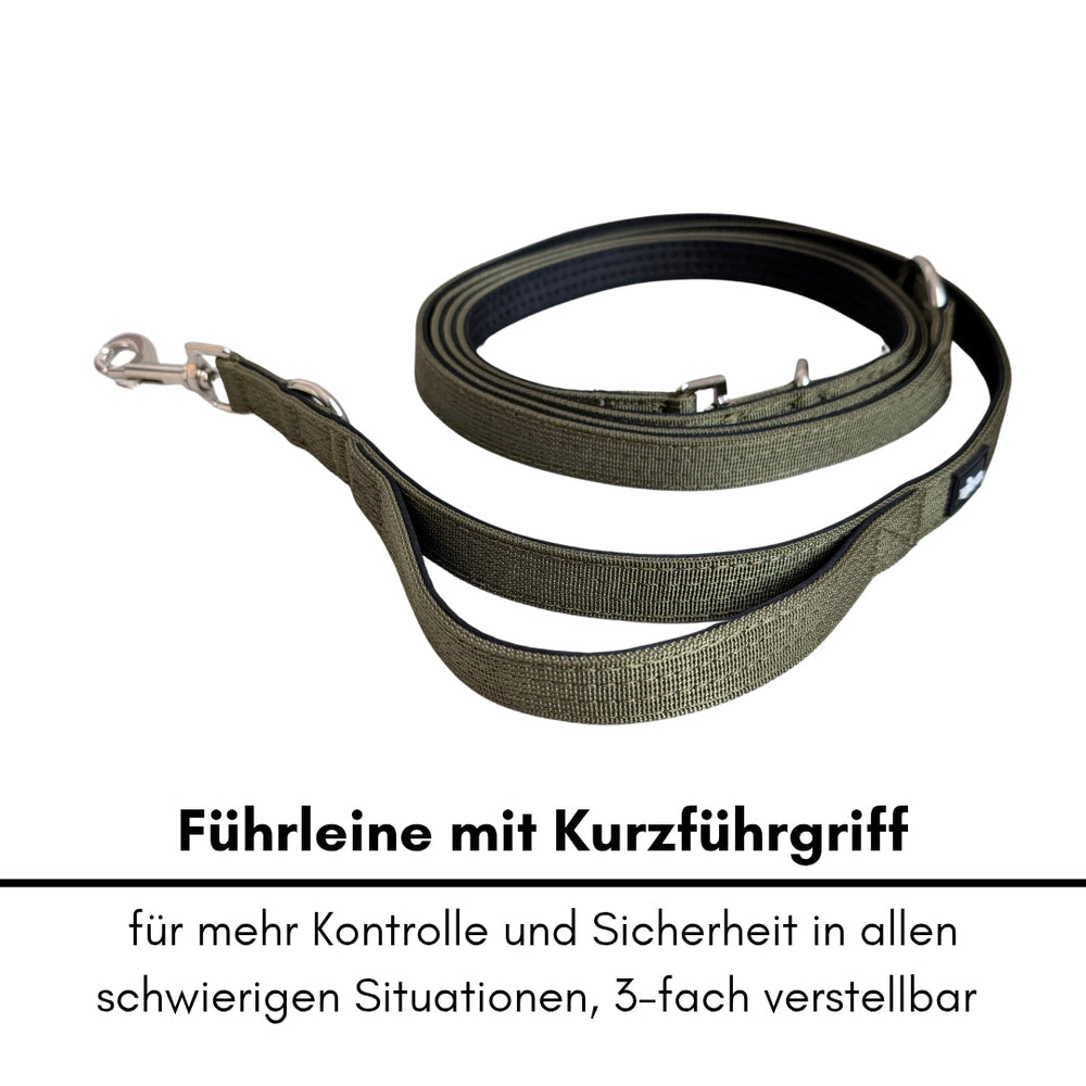 Grüne Nylon Classic Führleine mit Kurzführgriff, dreifach verstellbar für optimale Kontrolle und Sicherheit.