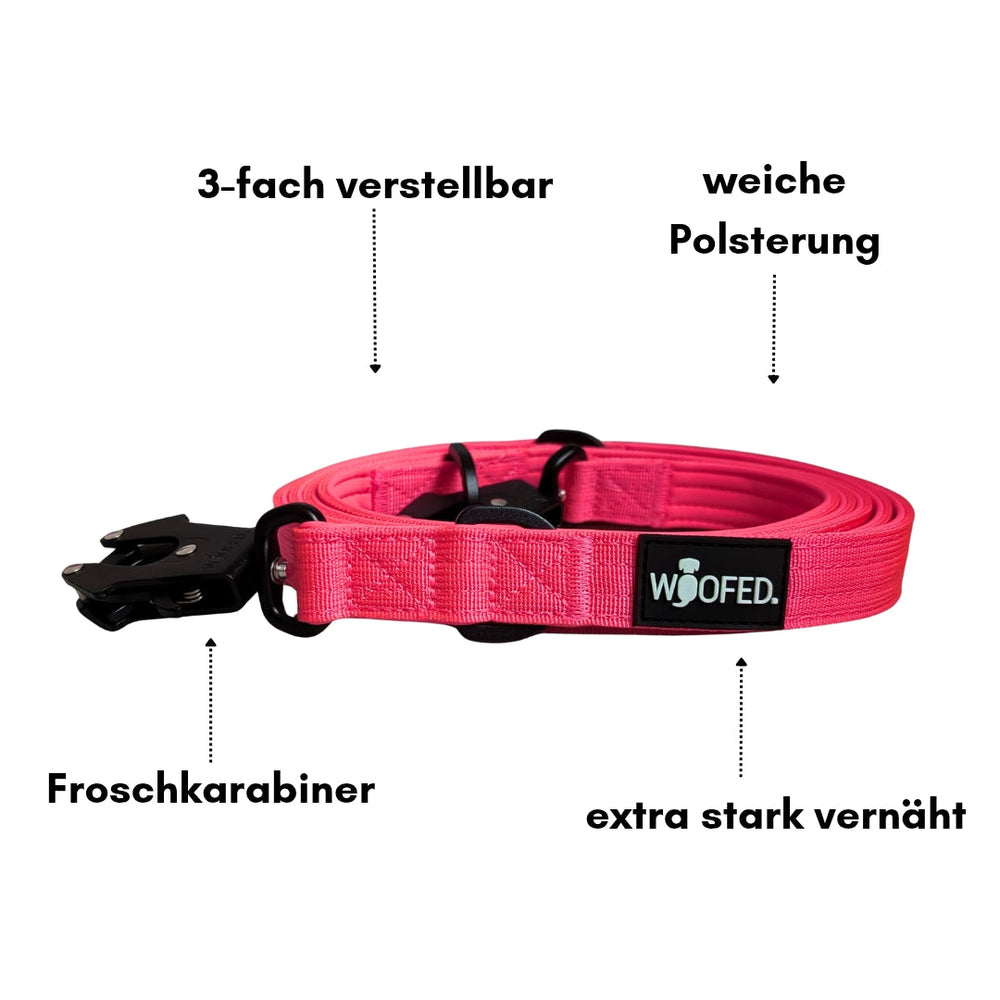 Dreifach verstellbare pinke Hundeleine aus Nylon mit weicher Polsterung und robustem Froschkarabiner.
