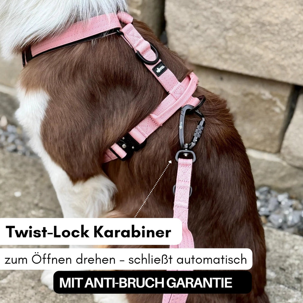 Hund im pinkfarbenen Geschirr mit Twist-Lock Karabiner für Sicherheit, ausgestattet mit Anti-Bruch Garantie.
