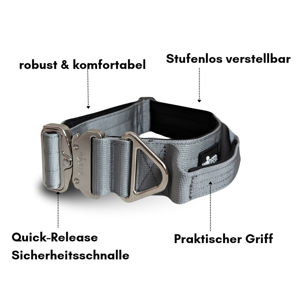 Graues Nylon-Halsband für kleine Hunde mit robustem Aluverschluss und stufenloser Verstellbarkeit, ideal für Komfort und Sicherheit.