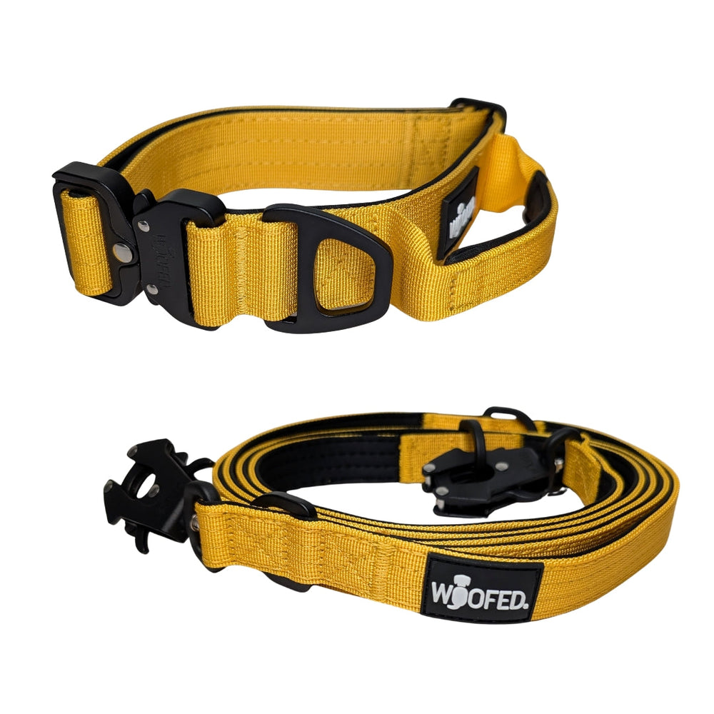 Nylon Halsband-Leine-Set in Gelb für Hunde, robust und komfortabel, ideal für Training und Spaziergänge.