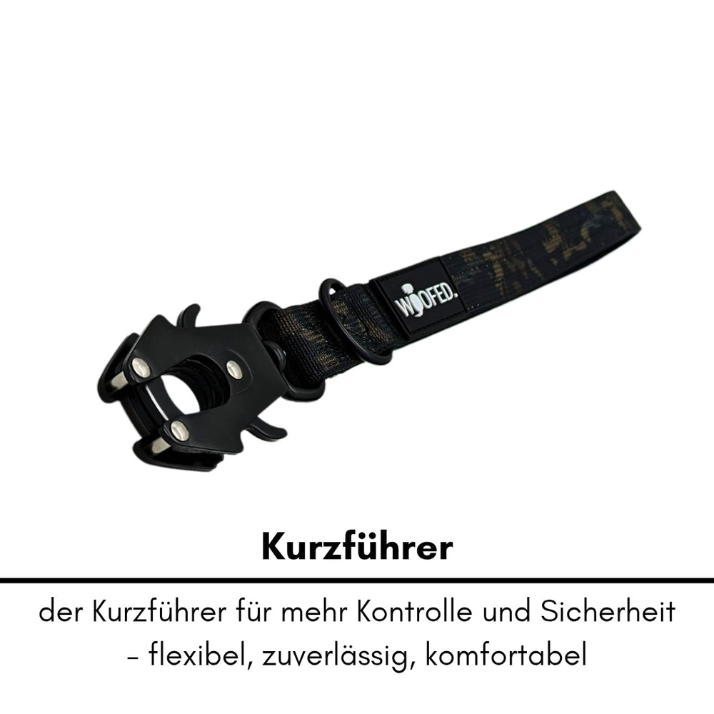 Schwarzes Nylon Halsband-Leine-Set für Hunde, ultraleicht und verstellbar, bietet Komfort und Kontrolle.