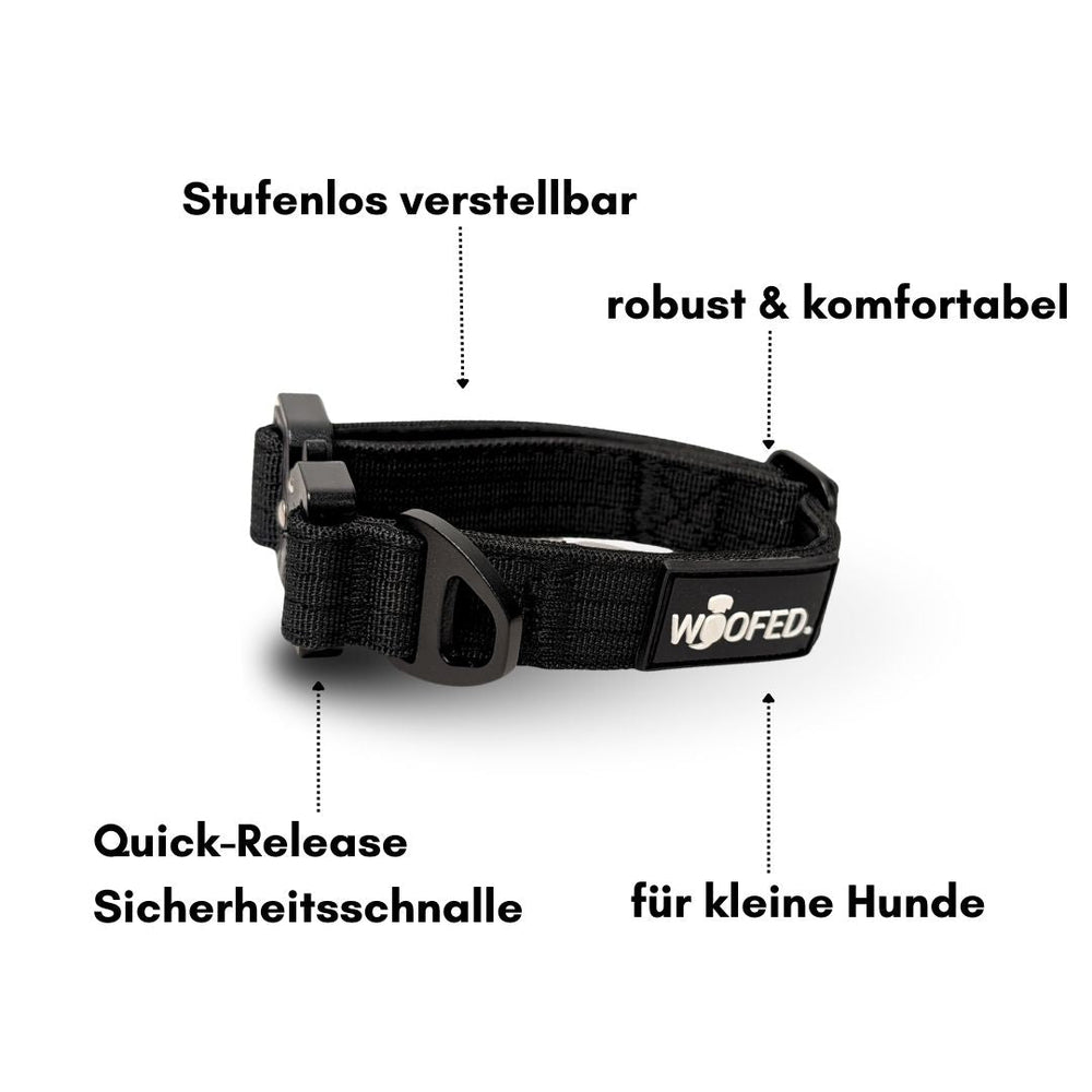 Schwarzes, verstellbares Nylon-Halsband für kleine Hunde mit Quick-Release Schnalle und Griff, ultraleicht und komfortabel.