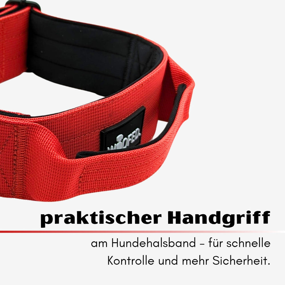 Rotes Nylonhalsband für kleine Hunde mit praktischem Handgriff und Aluverschluss, ideal für schnelle Kontrolle und Sicherheit.