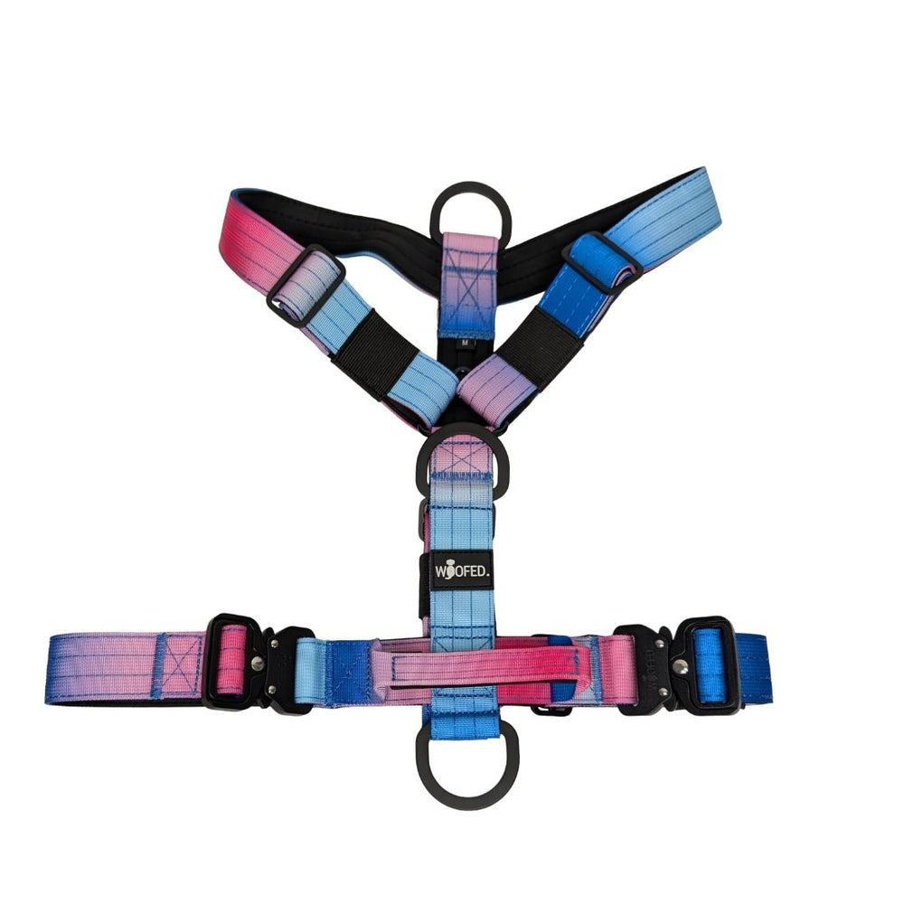 Buntes Y-Hundegeschirr mit verstellbaren Riemen und Griff, ideal für komfortable Spaziergänge mit Ihrem Hund.