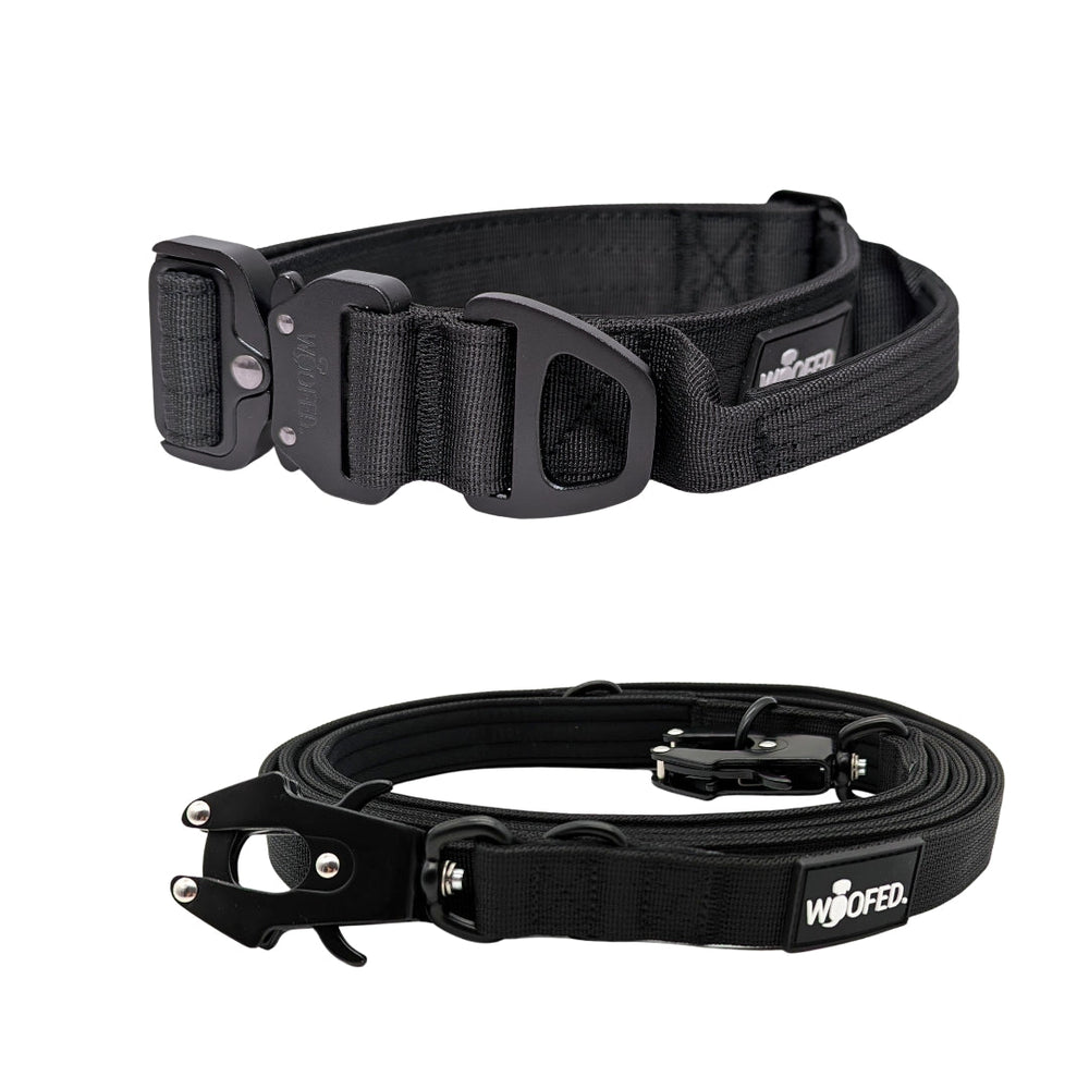 Nylon Halsband-Leine-Set für Hunde, robust, leicht, mit Karabiner und Sicherheitsverschluss, ideal für Training und Spaziergä
