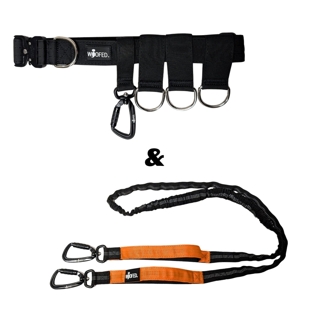 Gassigürtel Joggingleine Bundle in Schwarz mit orangefarbenen Akzenten für komfortables Gassi gehen und Joggen mit Hund.
