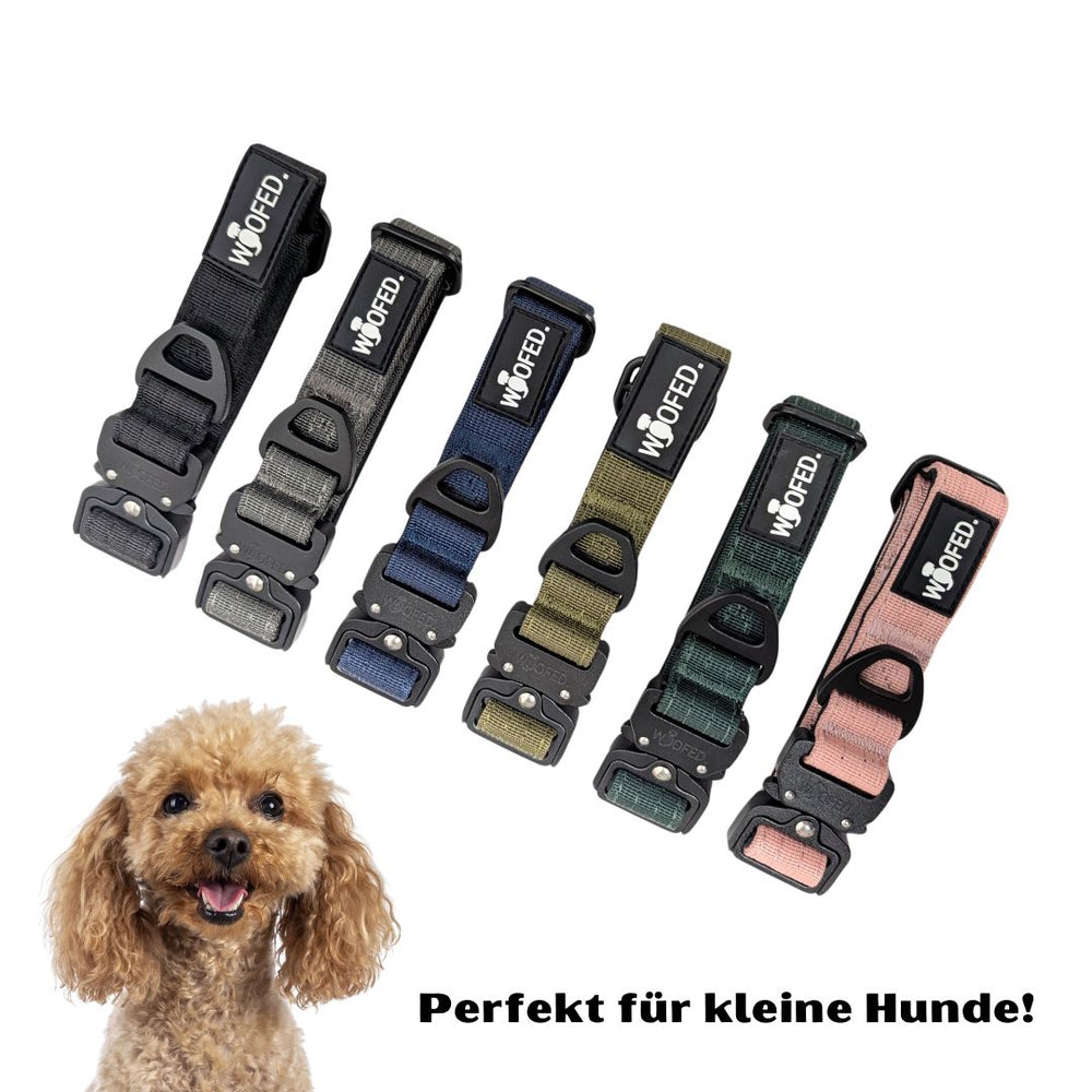 Taktisches Nylon Halsband für kleine Hunde in verschiedenen Farben, präsentiert von einem fröhlichen Pudel.