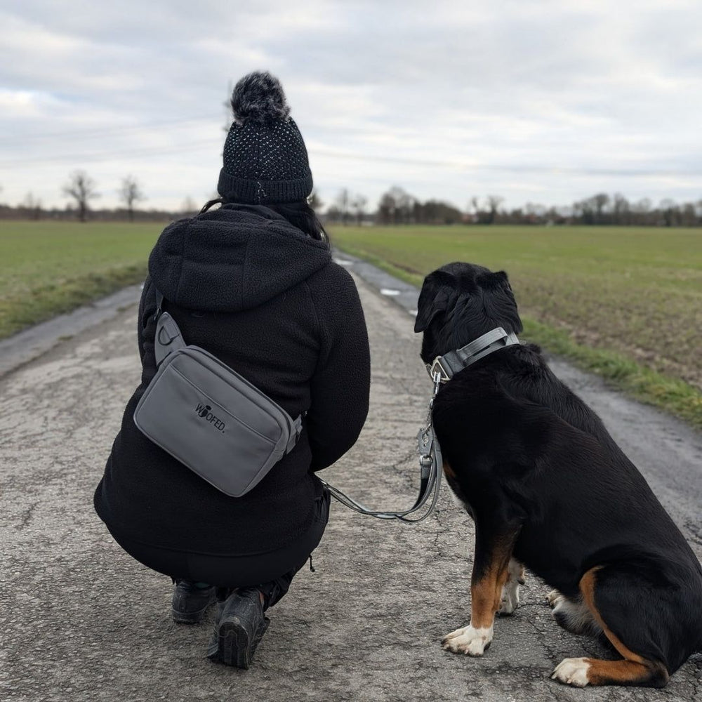 Person mit Hund auf Feldweg, trägt multifunktionale Gassitasche als Bauchtasche, umgeben von grüner Landschaft.