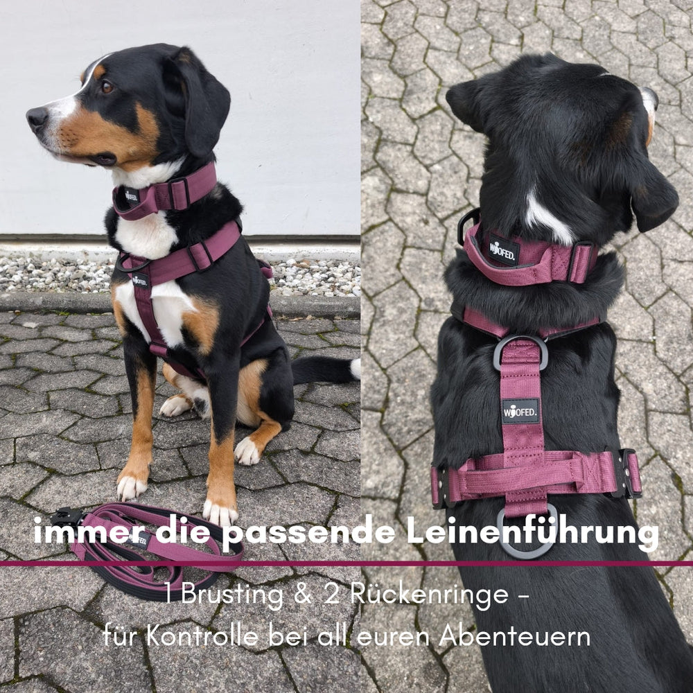 Burgunderfarbenes Y-Hundegeschirr mit Griff, seitliche und Nahaufnahme zur Demonstration der Funktionen.