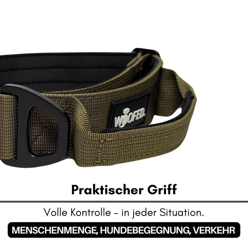 Olivgrünes Nylon-Hundehalsband mit stabilen Griff für einfache Handhabung und robusten Einsatz. Ideal für aktive Hunde.