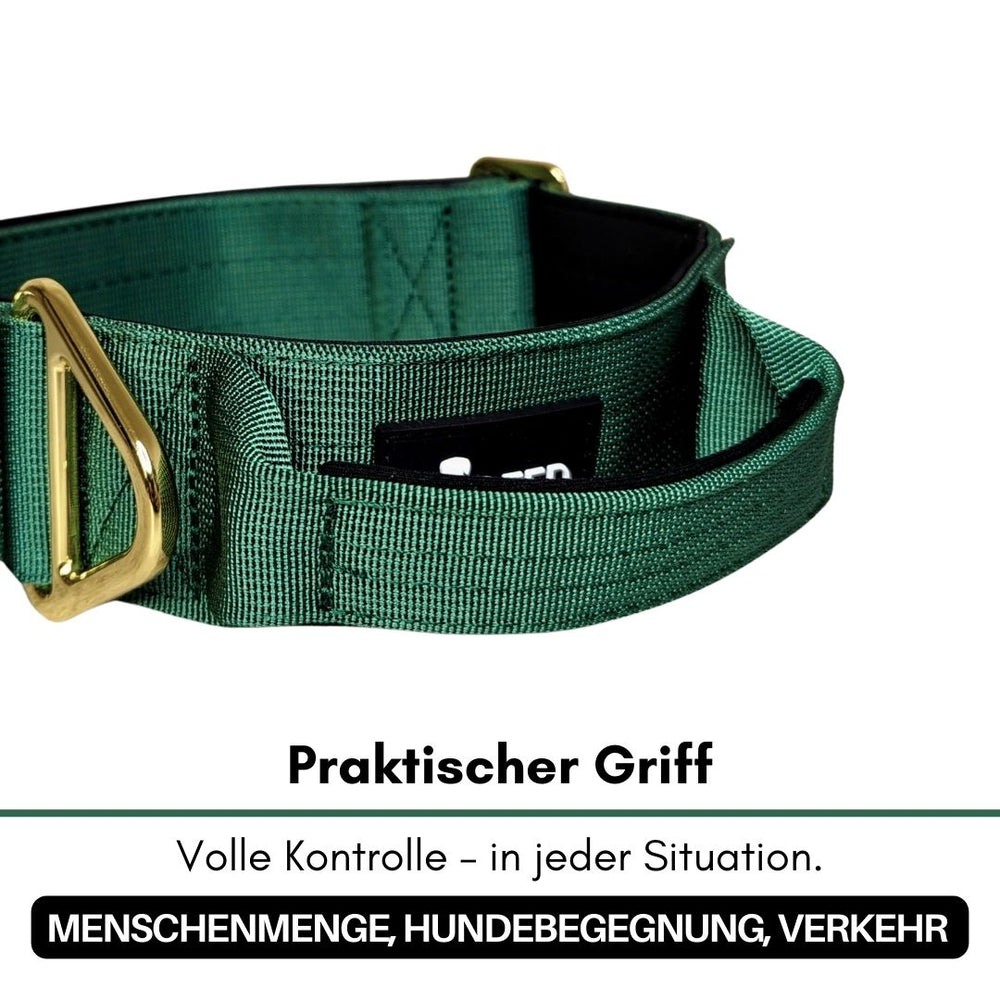 Grünes Nylon-Halsband für kleine Hunde mit Aluverschluss und praktischem Griff für mehr Kontrolle in der Umgebung.