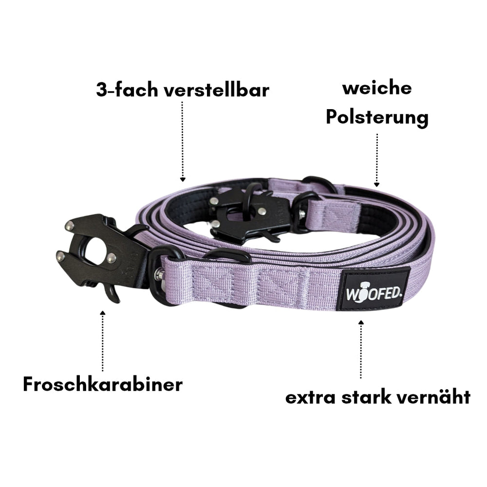 Lila 3-fach verstellbare Hundeleine aus Nylon mit Froschkarabinern und weicher Polsterung für hohen Komfort.