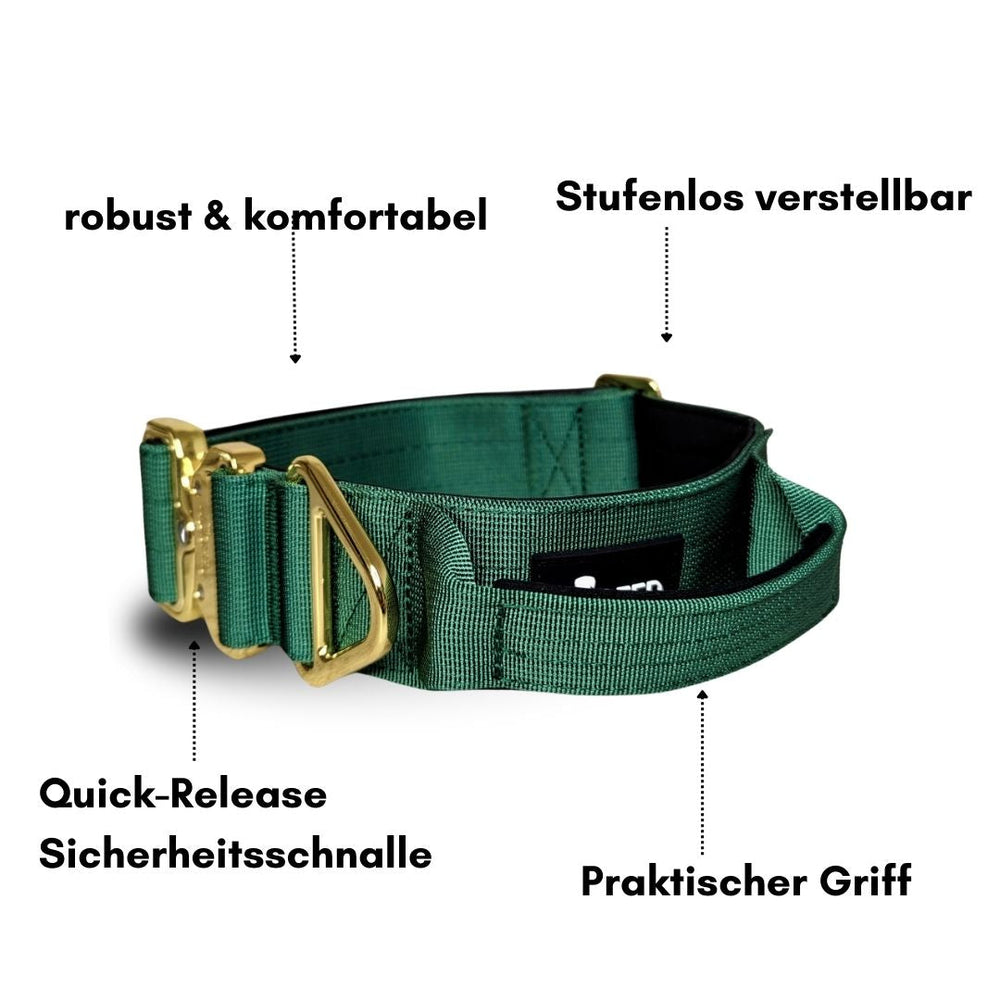 Grünes Nylonhalsband für kleine Hunde mit Aluverschluss, verstellbar, mit Quick-Release und praktischem Griff.
