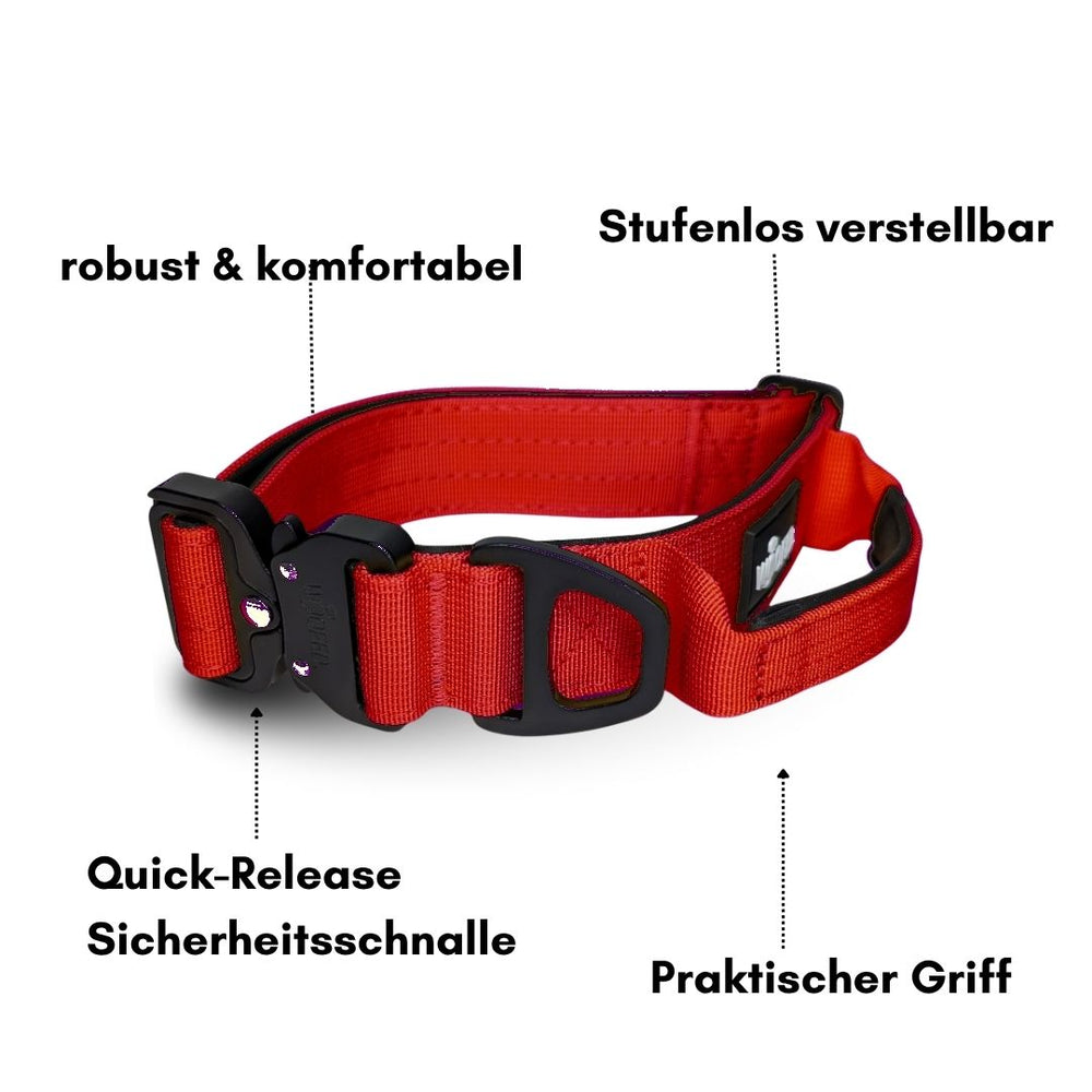 Verstellbares rotes Nylon-Halsband mit Griff und Quick-Release-Schnalle, ideal für Komfort und Sicherheit.