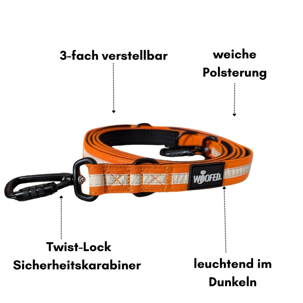 Dreifach verstellbare orangefarbene Hundeleine aus Nylon mit weicher Polsterung und Sicherheitskarabiner, leuchtet im Dunkeln.
