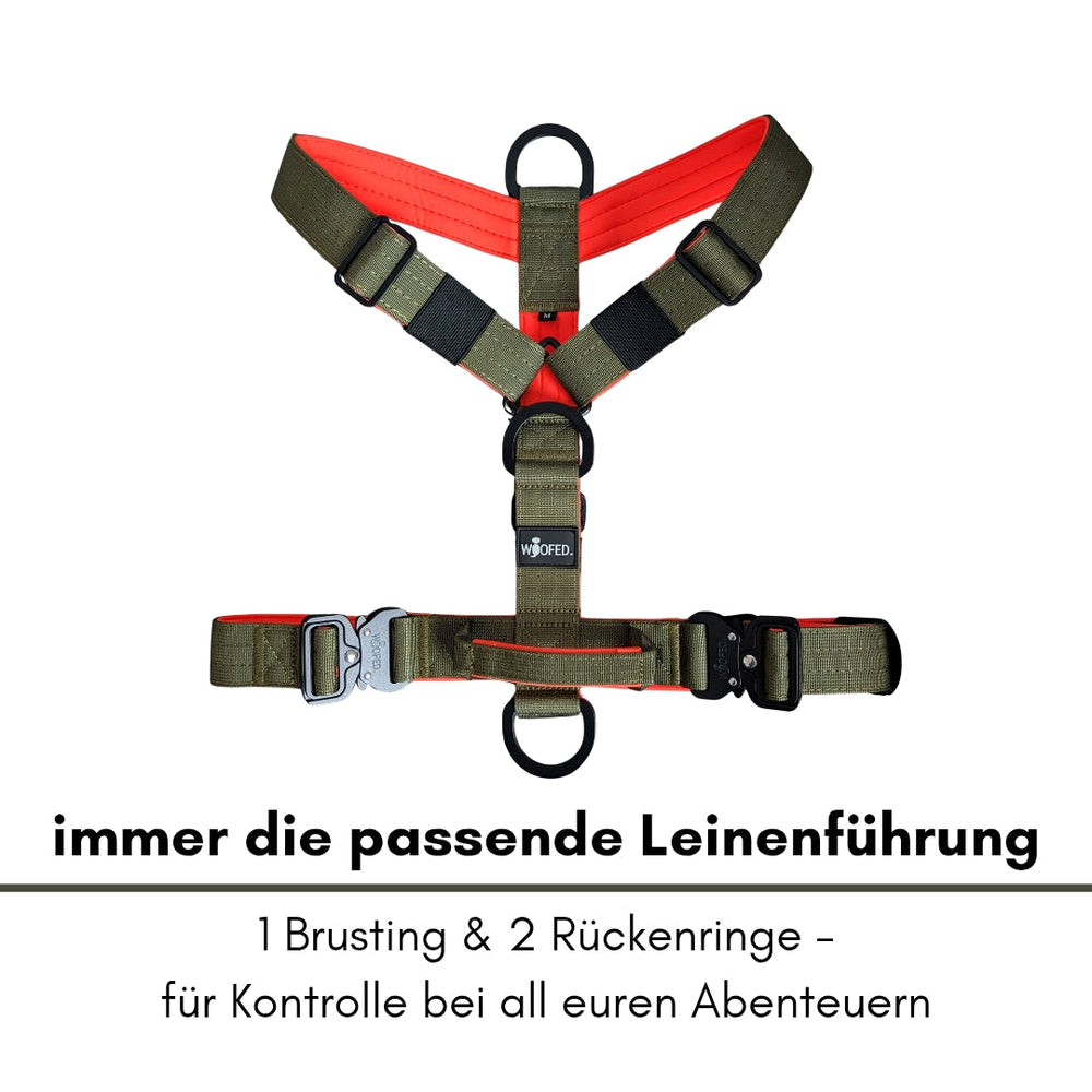 Khakifarbenes Y-Hundegeschirr mit Griff, Brustgurt und D-Ringen für optimale Leinenführung und Komfort.