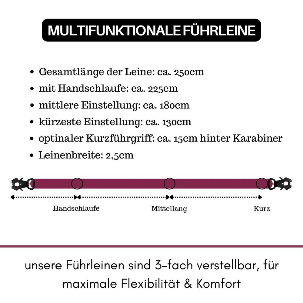 Multifunktionale Führleine mit Froschkarabiner, 250 cm lang, ideal für Hunde, mit praktischer Handschlaufe.