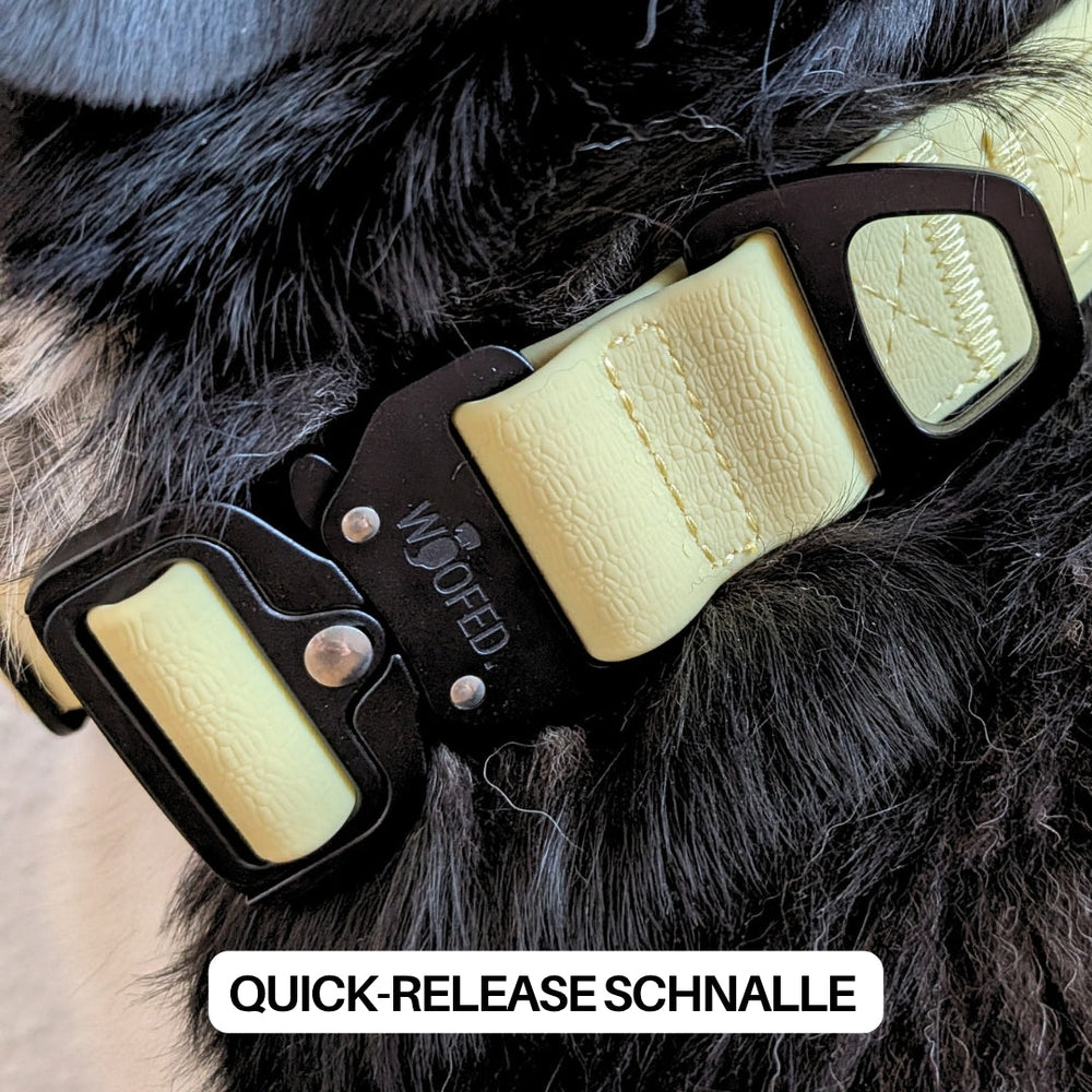 "Verstellbares WOOFLEX® Halsband mit Griff, schwarz, gelbe Schnalle, sicherer Halt, Hintergrund Hundewelpenfell."