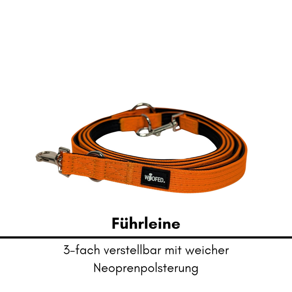 "Orange Nylon Classic Führleine für Hunde, 3-fach verstellbar, mit Neoprenpolsterung und stabilen Metall-Schnallen."