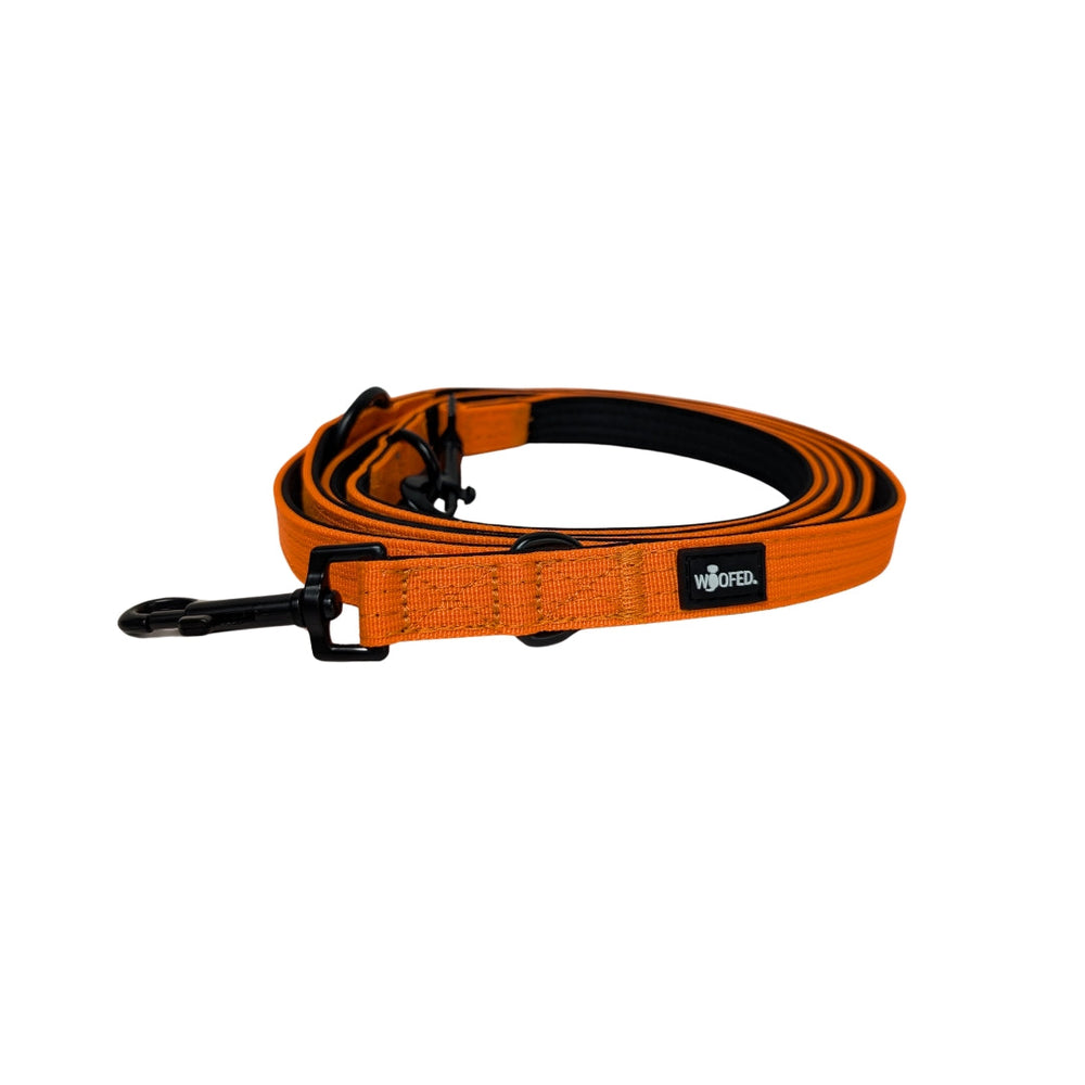 Orangefarbene Nylon Classic Führleine für Hunde mit stabilem Karabinerhaken und komfortablem Griff. Ideal für Spaziergänge.