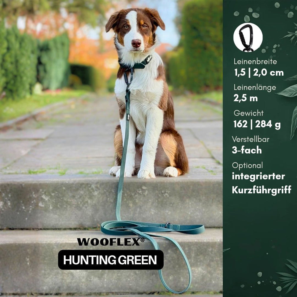 Hund sitzt auf dem Gehweg neben einer 1,5 cm breiten WOOFLEX® Leine in Hunting Green mit Sicherheitskarabiner.