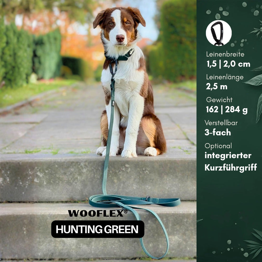 "Hund mit WOOFLEX® Pro verstellbarer Hunde-Leine in hellem Grün, 1,5 cm oder 2,0 cm breit."
