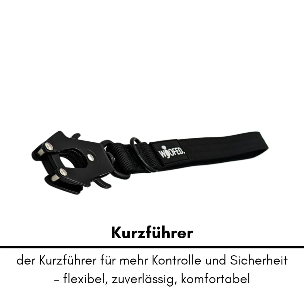 Nylon Halsband-Leine-Set für Hunde, ultraleicht, robust, mit gepolstertem Griff und stabilem Karabiner für optimale Kontrolle