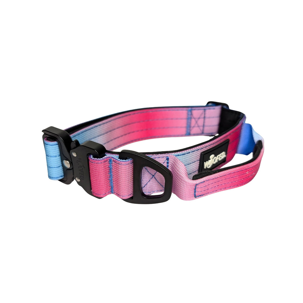Taktisches Nylon Halsband in Blau-Pink mit stabilem Verschluss, komfortabel und sicher für aktive Hunde.