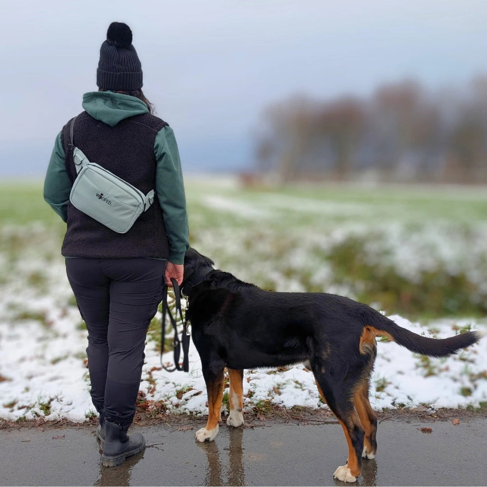 Person mit grauer Umhängetasche und Hund in winterlicher Landschaft, dreht sich von hinten um.