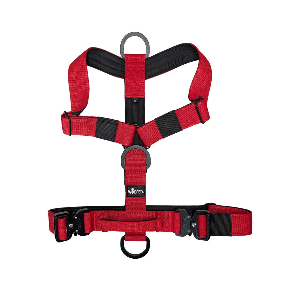 Rotes Y-Hundegeschirr mit Griff und verstellbaren Riemen für optimale Passform und Halt. Ideal für aktive Hunde.