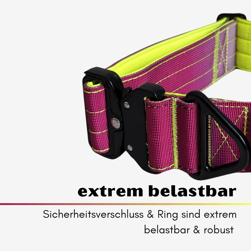 Halsband für kleine Hunde aus Nylon in Lila und Gelb mit stabilem Aluverschluss und robustem Ring, extrem belastbar.