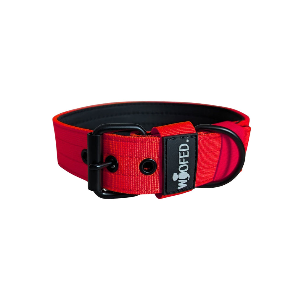Nylon Classic Halsband in Rot mit schwarzer Innenseite, robust, sicher und komfortabel für Hunde von WOOFED.