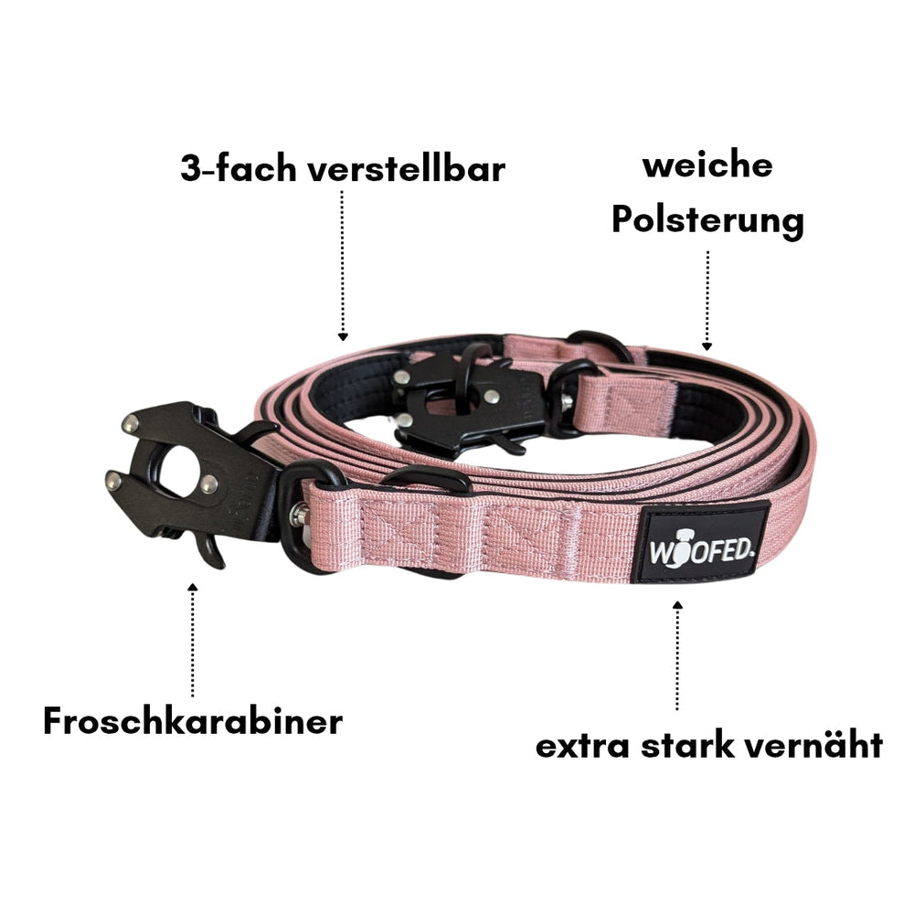 Rosa Hundeleine aus Nylon mit 3-fach verstellbarer Polsterung und Froschkarabiner für extra Haltbarkeit.