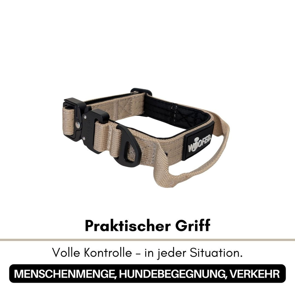 Ultraleichtes Nylon Halsband in Beige mit praktischem Griff für optimale Kontrolle bei Hundebegegnungen und Menschenmengen.