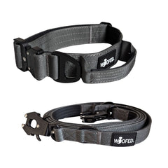 Nylon Halsband-Leine-Set für Hunde, robust, leicht und verstellbar, ideal für Training und Spaziergänge, grau mit stabilen Ka