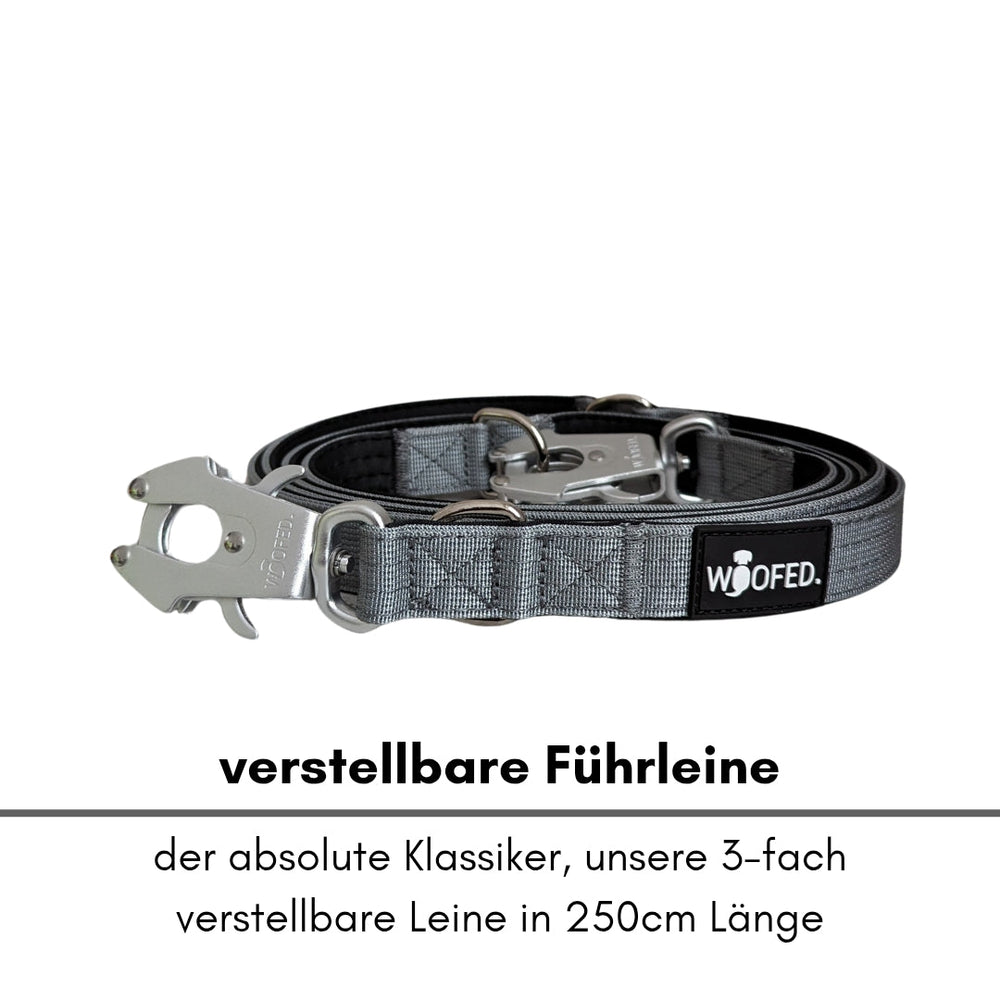 Grau verstellbare 250 cm lange Führleine mit stabilem Froschkarabiner aus Metall und schwarzer Markenkennung.