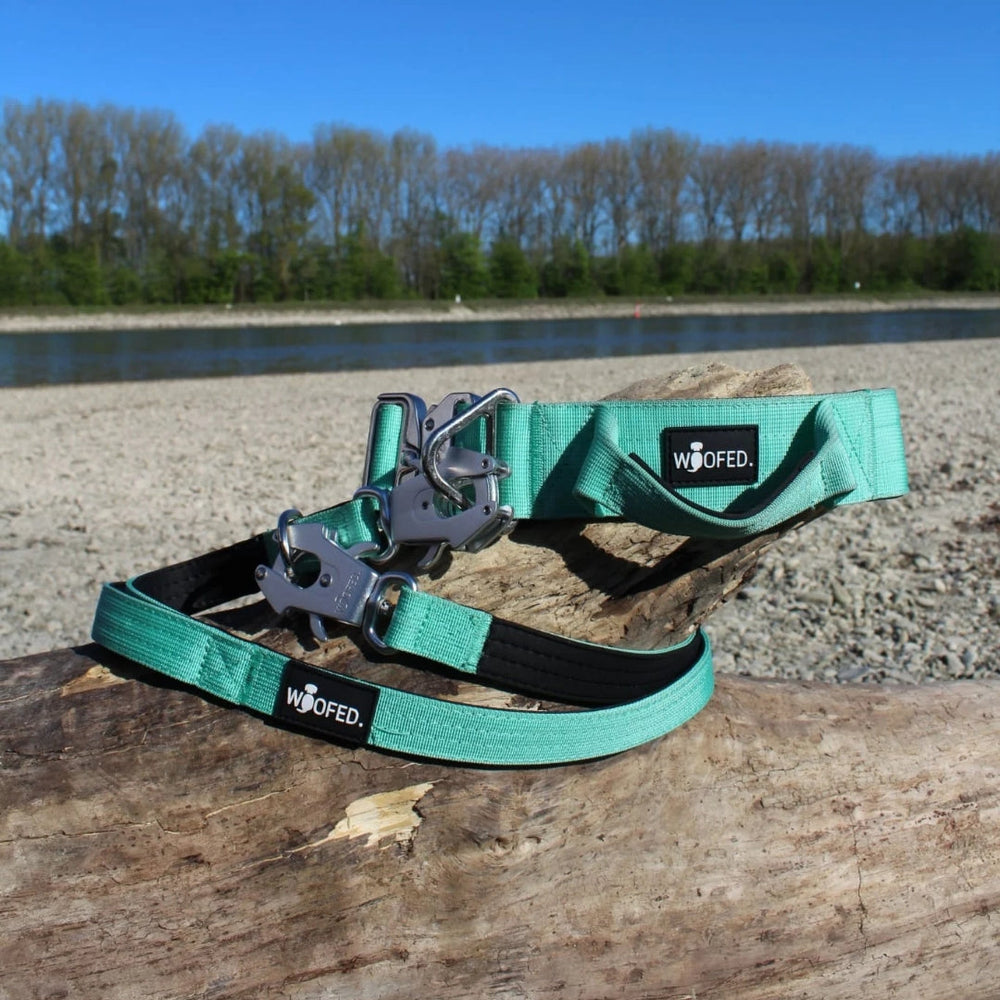 Mintgrünes Nylon-Hundehalsband und Leine mit Aluverschluss für kleine Hunde, ausgestattet mit silbernem Karabinerhaken.