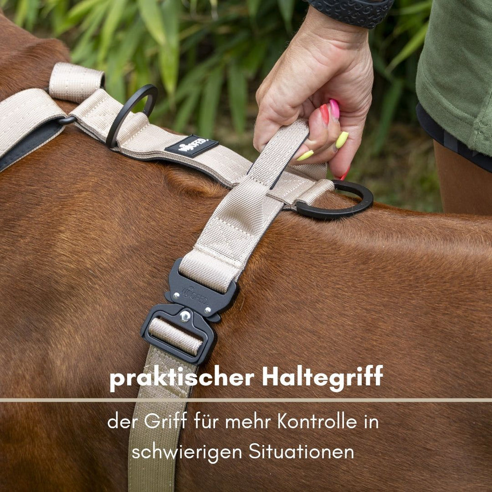 Praktisches Y-Hundegeschirr mit stabilem Haltegriff für bessere Kontrolle in schwierigen Situationen. Brauner Hund steht daneben.