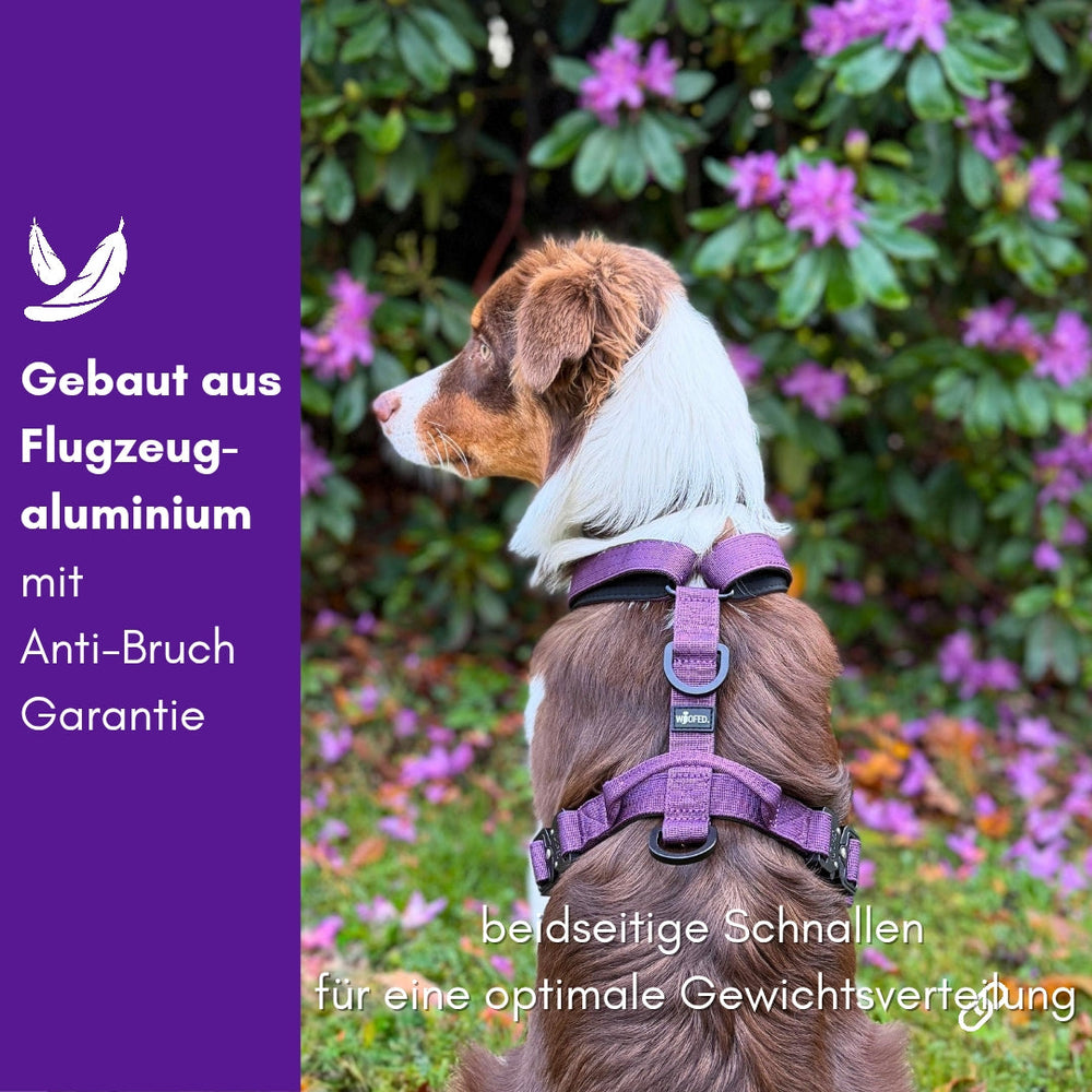 Lila Y-Hundegeschirr aus Flugzeugaluminium mit Griff, präsentiert an einem Hund vor informativem Hintergrund.